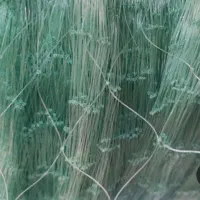 تور محاصره‌ای حلوا سیاه