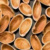 پوست پسته و...