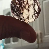 گل اناری های درجه یک|جواهرات|شیراز, شهرک مطهری|دیوار