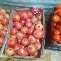 میوه و مرغ فروشی روستای بیاشوش|خوردنی و آشامیدنی|جوانرود, |دیوار