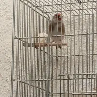 قیمت ۱۸۰۰۰۰۰۰