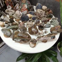سنگهای انتیک وکلکسیونی
