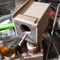 لونه‌عروس‌هلندی‌و‌کوتوله‌برزیلی‌‌قفس‌قناری