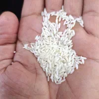 برنج عنبر بو درجه ۱ تیلکی