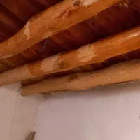 چوب سقف|مصالح و تجهیزات ساختمان|صفی آباد, |دیوار