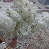 گل مصنوعی|گل مصنوعی|قزوین, |دیوار