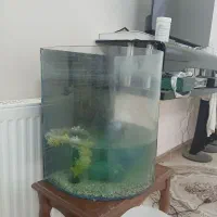 اکواریوم با سه عدد ماهی و غذای ماهی