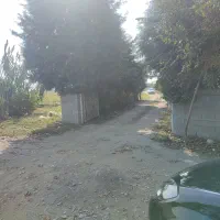 زمین فروشی منطقه آزاد میرود سر