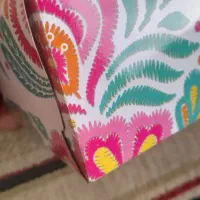 کارتن گوشی ایفون پیداشده