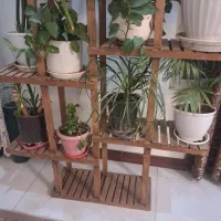 استند گل با گل|گل و گیاه طبیعی|اصفهان, جلالیه|دیوار