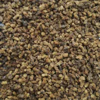 قره توت ، شیره لی