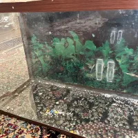 آکواریوم  و لوازمش