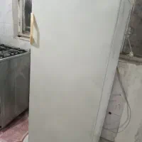 یخچال تمیزو سالم ...فیلور