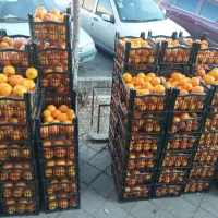 حراج بدلیل جمع آوری