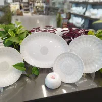 سرویس اپال درجه یک