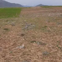 فروش زمین کشاورزی دیمی