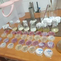 اجاره ظرفیت خالی شرکت دارویی آرایشی بهداشتی
