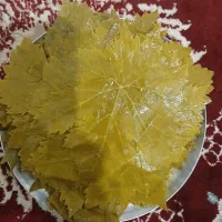 برگ شور|خوردنی و آشامیدنی|بجنورد, |دیوار