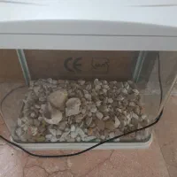 آکواریوم|ماهی|ارومیه, |دیوار