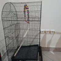 قفس پرنده