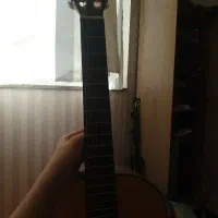 گیتار سوزوکی دست ساز|گیتار، بیس، امپلیفایر|اردبیل, |دیوار