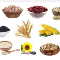 بوجاری غلات و حبوبات شهرک صنعتی سرآبتاوه|خدمات باغبانی و درختکاری|یاسوج, |دیوار