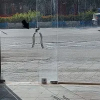 رهن-واجاره-مغازه-کندوان