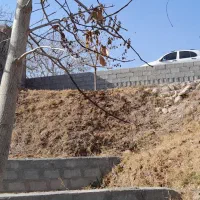 باغ ۸ من صفا باغی|فروش زمین و ملک کلنگی|بناب, |دیوار