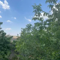 ویلا باغ پوشش جنگلی دماوند