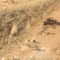 نیازمند بنا سنگ چین سنگ لاشه