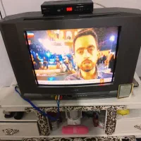 تلویزیون