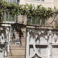120مترکلنگی گل سازندگان پایتخت باستان جمهوری