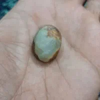 عقیق شجر دریا|کلکسیون اشیاء عتیقه|گلبهار, شهر جدید گلبهار|دیوار