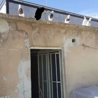 ۵ تا کفتر..|پرنده|همدان, |دیوار