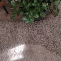 فرش ۴ متری هندی|فرش|کرج, گلشهر|دیوار