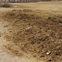 کود پوسیده اسب درجه یک