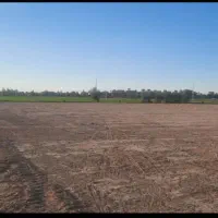 اجاره ۱۰ هکتار زمین کشاورزی آب شیرین هندوانه|اجارهٔ دفتر صنعتی، کشاورزی، تجاری|ایرانشهر, |دیوار