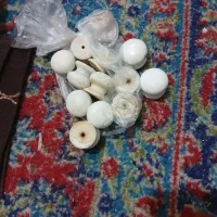 موکت و چندتا تیکه وسایل|موکت|قم, شاه ابراهیم|دیوار