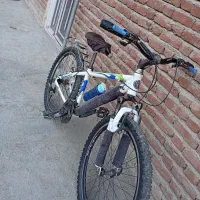 دوچرخه ۲۶ ویوا اصل تایوان