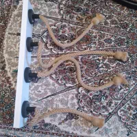 لوستراویز اسپرت|لوستر و چراغ آویز|رشت, نخودچر|دیوار