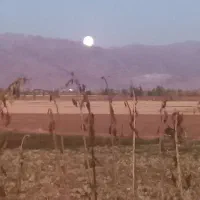 سیم کارت