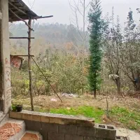 ۵۰۰متر زمین خانه و محوطه جنگلی|فروش خانه و ویلا|شفت, |دیوار