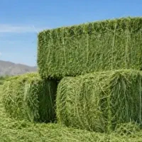 40 عدد پرس یونجه درجه یک فروشی روستای عمارت