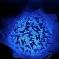 قبول سفارشات گل پروانه ای ، ربانی ، ژیپسوفیلا