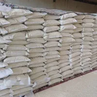 خاک گربه بنتونیت دیباکت با جذب عالی|لوازم جانبی حیوانات|مشهد, هدایت|دیوار