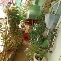 رباط-کریم-ابشناسان75متر