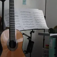 آموزش تخصصی گیتار در مرودشت