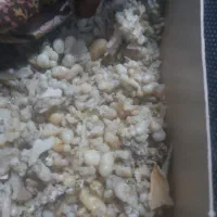 خرید کندل بدون واسطه
