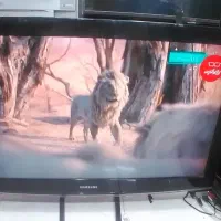 ال ای دی Led  وال سی دی Lcd|تلویزیون و پروژکتور|زاهدان, |دیوار