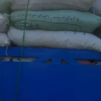 کود کیسه بزرگ ۱۰۰تومن.کیسه کوچک ۸۰|خدمات باغبانی و درختکاری|خرمآباد (تنکابن), |دیوار